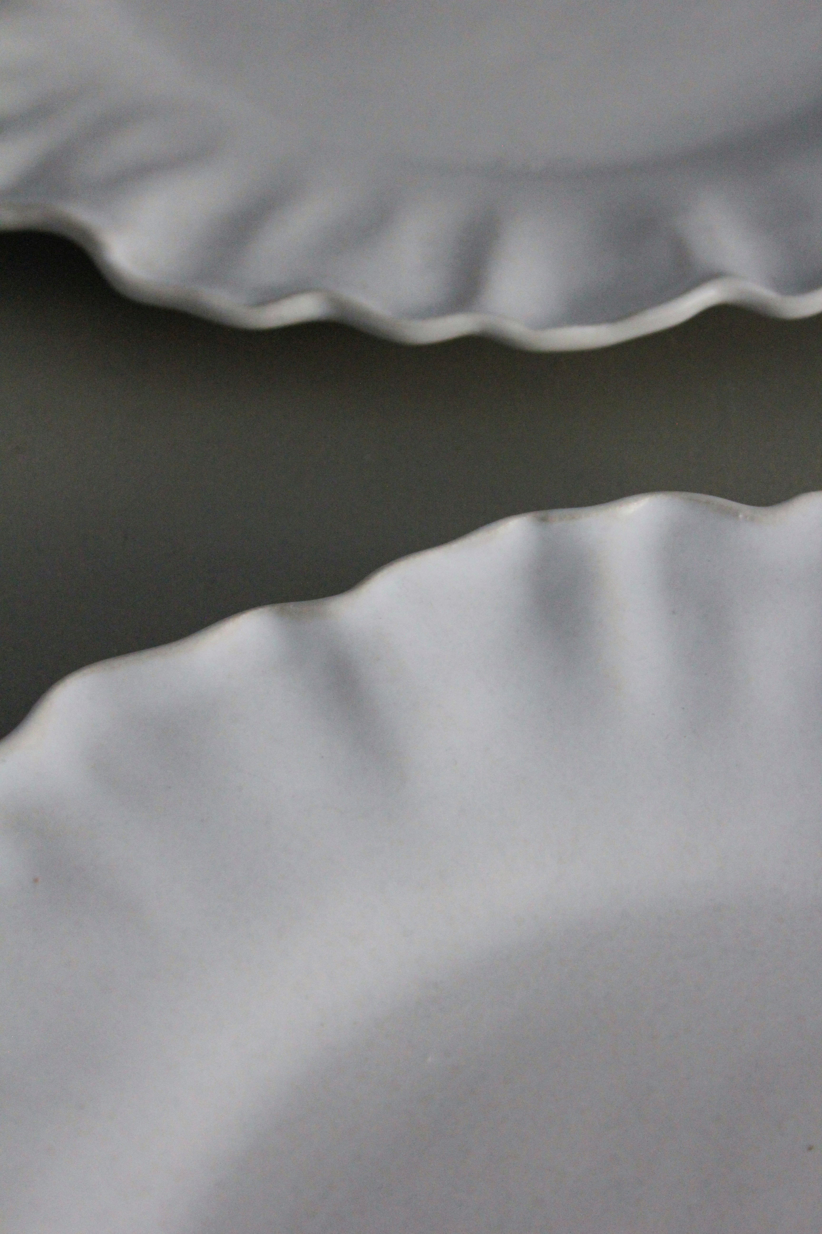 Ceramic Asymmetrical Dinner Plate | Organic Shape Serving Plate